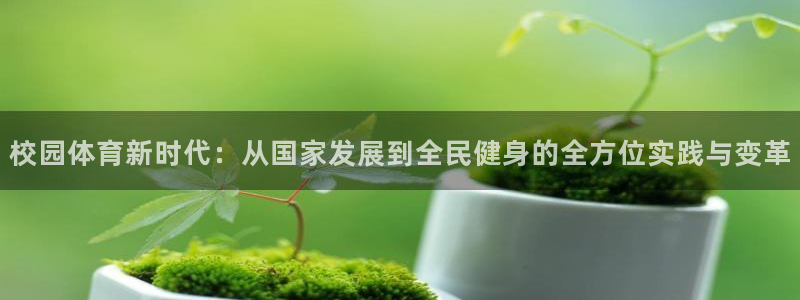 安信16官网注册：校园体育新时代：从国家发展到全民健身的全方位实践与变革