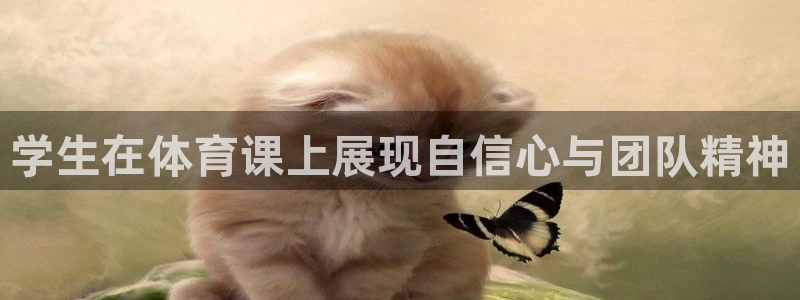 安信16平台开户链接：学生在体育课上展现自信心与团队精神
