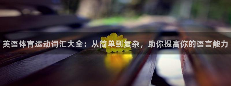安信162平台登录：英语体育运动词汇大全：从简单到复杂，助你提高你的语言能力