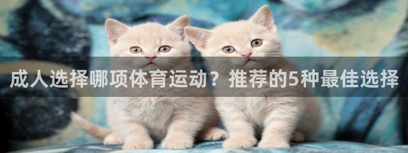安信16集团股票：成人选择哪项体育运动？推荐的5种最佳选择