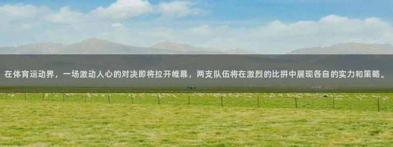 安信16登录入口：在体育运动界，一场激动人心的对决即将拉开帷幕，两支队伍将在激烈的比拼中展现各自的实力和策略。