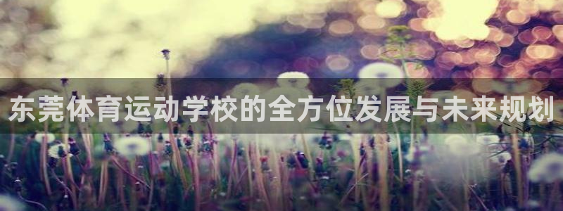 安信162代理注册：东莞体育运动学校的全方位发展与未来规划