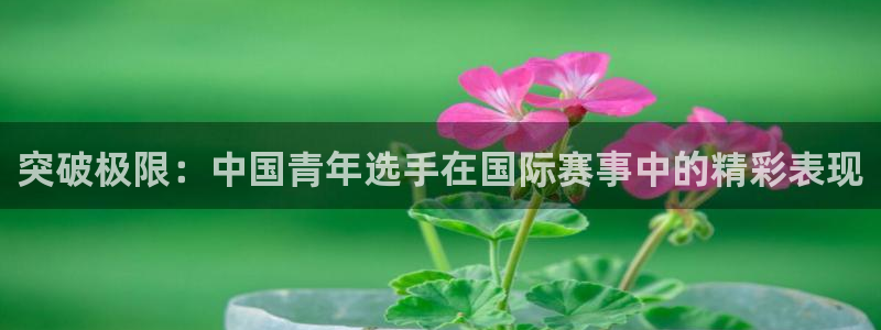 意昂体育注册：突破极限：中国青年选手在国际赛事中的精彩表现