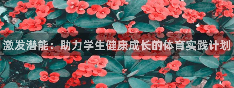 安信16凯捷开号链接：激发潜能：助力学生健康成长的体育实践计划