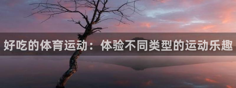 www.安信16体育.com：好吃的体育运动：体验不同类型的运动乐趣
