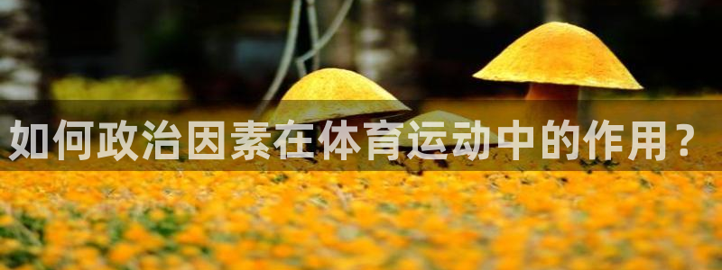 安信163平台登录注册：如何政治因素在体育运动中的作用？