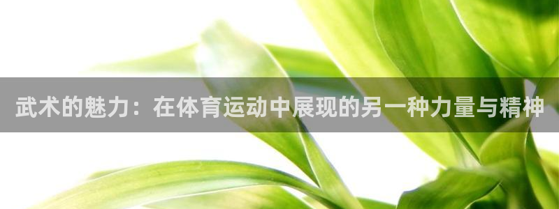 安信16凯捷开号链接：武术的魅力：在体育运动中展现的另一种力量与精神