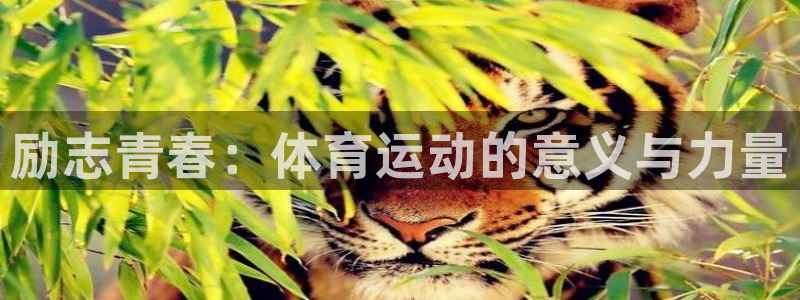 意昂注册：励志青春：体育运动的意义与力量