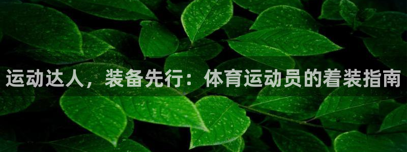 安信16平台开户链接：运动达人，装备先行：体育运动员的着装指南
