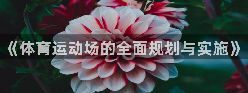 安信162登录地址：《体育运动场的全面规划与实施》