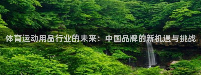 安信162官网：体育运动用品行业的未来：中国品牌的新机遇与挑战