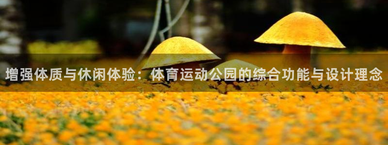 广州市意昂智能科技有限公司：增强体质与休闲体验：体育运动公园的综合功能与设计理念