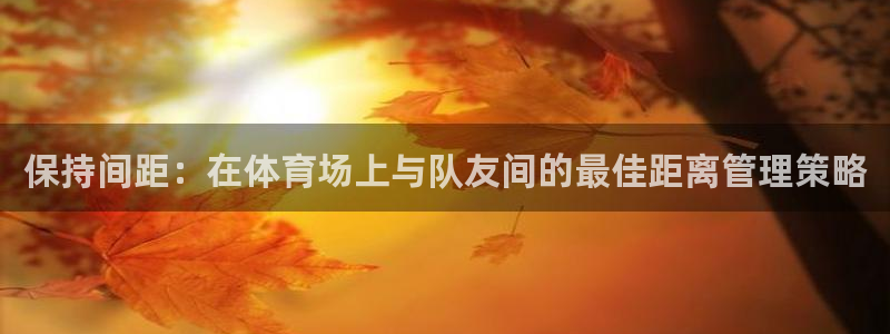 安信16官网：保持间距：在体育场上与队友间的最佳距离管理策略