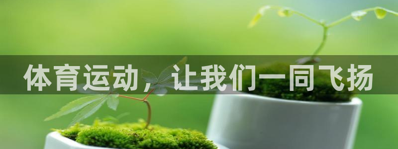 安信16体育凯捷平台招商：体育运动，让我们一同飞扬