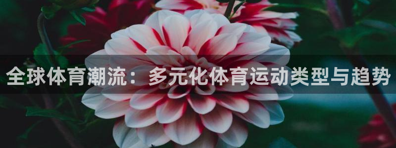 安信16官网入口：全球体育潮流：多元化体育运动类型与趋势