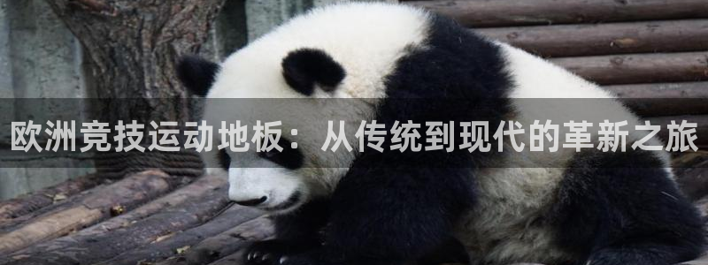 安信16体育注册：欧洲竞技运动地板：从传统到现代的革新之旅