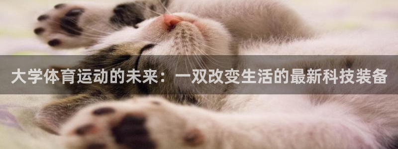 安信16体育平台登录入口：大学体育运动的未来：一双改变生活的最新科技装备