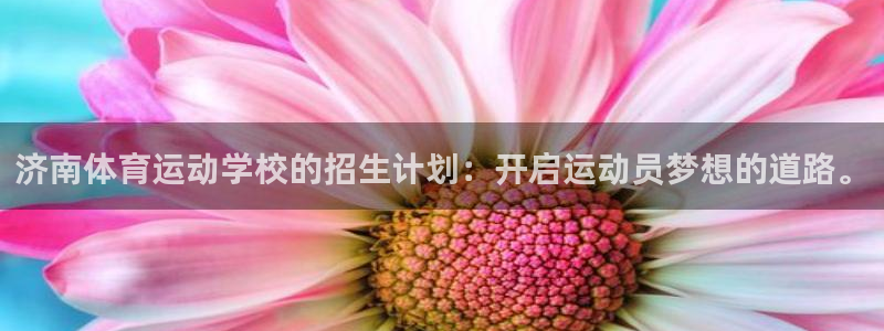 安信16集团官网：济南体育运动学校的招生计划：开启运动员梦想的道路。