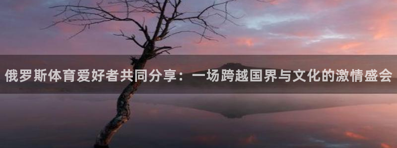 上海安信16汽车电子有限公司：俄罗斯体育爱好者共同分享：一场跨越国界与文化的激情盛会