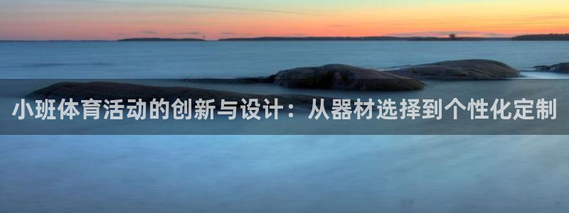 安信16体育凯捷平台主管：小班体育活动的创新与设计：从器材选择到个性化定制