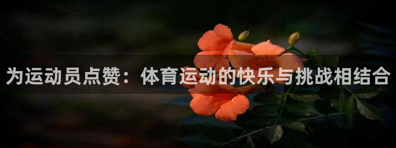 安信16招商：为运动员点赞：体育运动的快乐与挑战相结合