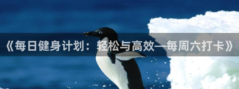 安信16体育注册：《每日健身计划：轻松与高效—每周六打卡》