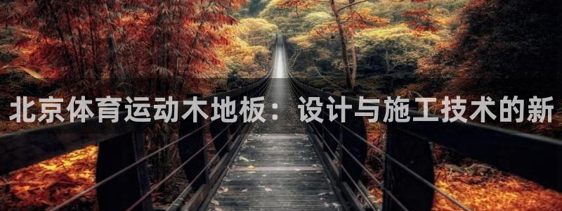 北京意昂科技有限公司：北京体育运动木地板：设计与施工技术的新