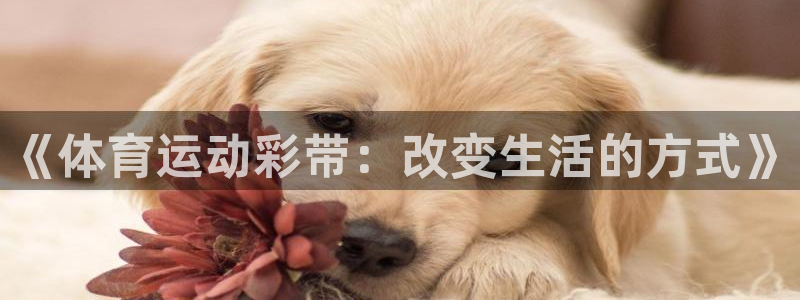 安信16官网：《体育运动彩带：改变生活的方式》